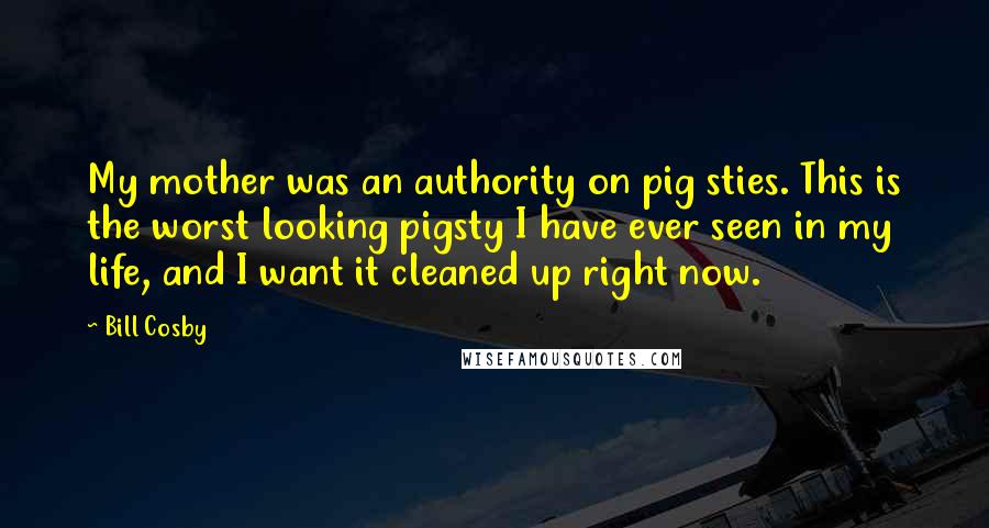 Bill Cosby Quotes: My mother was an authority on pig sties. This is the worst looking pigsty I have ever seen in my life, and I want it cleaned up right now.