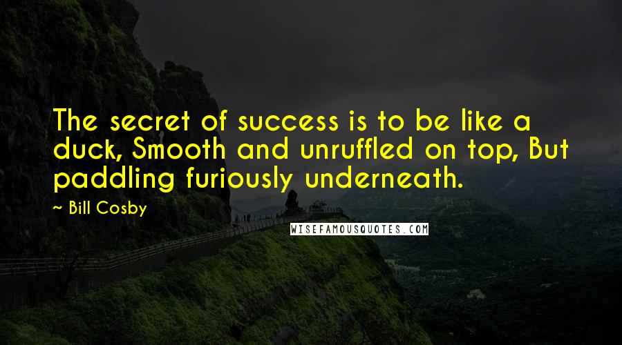 Bill Cosby Quotes: The secret of success is to be like a duck, Smooth and unruffled on top, But paddling furiously underneath.