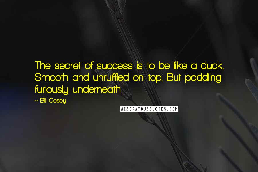 Bill Cosby Quotes: The secret of success is to be like a duck, Smooth and unruffled on top, But paddling furiously underneath.