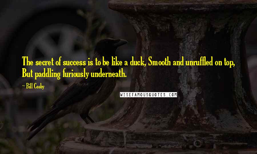 Bill Cosby Quotes: The secret of success is to be like a duck, Smooth and unruffled on top, But paddling furiously underneath.