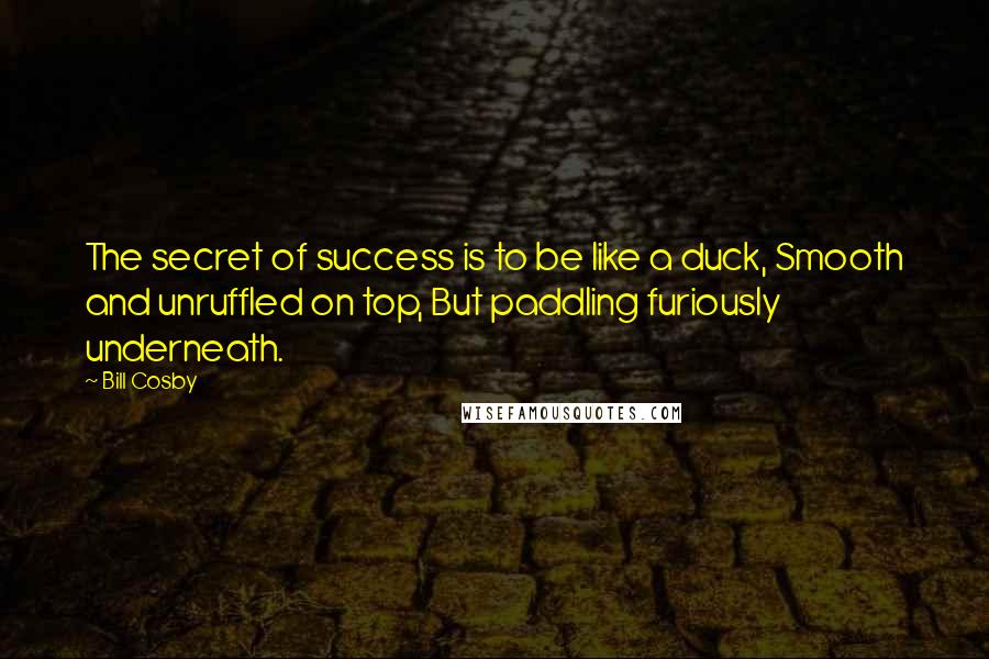 Bill Cosby Quotes: The secret of success is to be like a duck, Smooth and unruffled on top, But paddling furiously underneath.