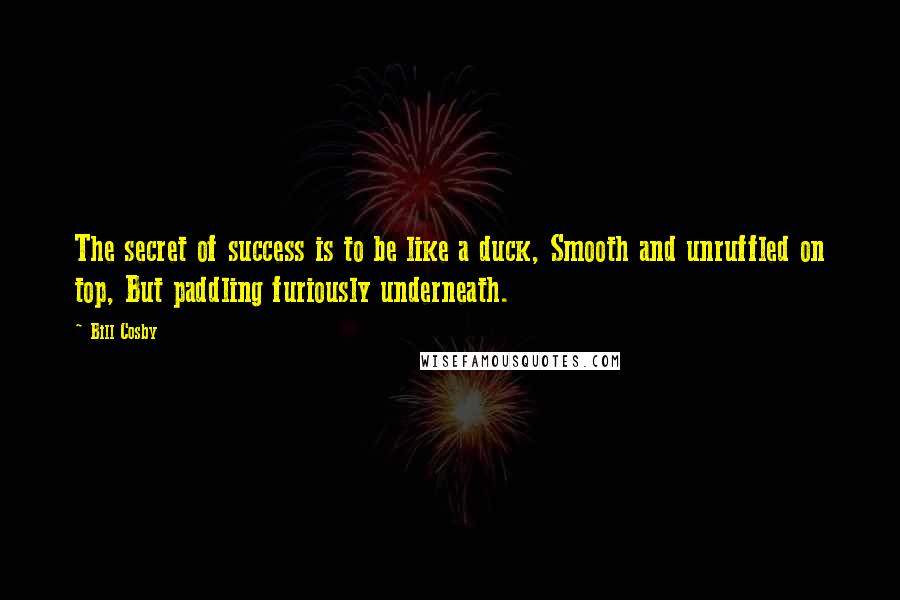 Bill Cosby Quotes: The secret of success is to be like a duck, Smooth and unruffled on top, But paddling furiously underneath.