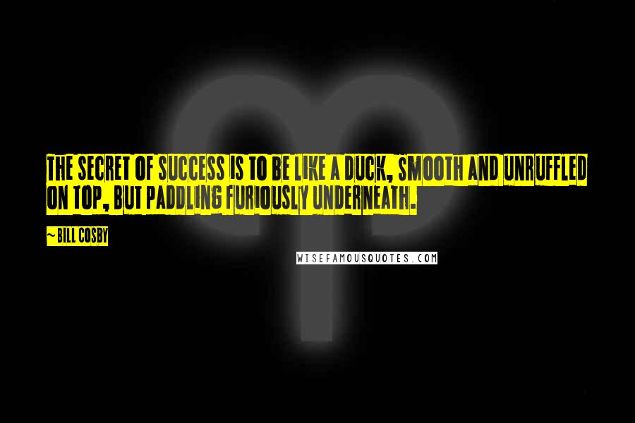 Bill Cosby Quotes: The secret of success is to be like a duck, Smooth and unruffled on top, But paddling furiously underneath.