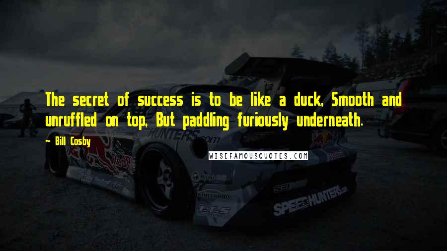 Bill Cosby Quotes: The secret of success is to be like a duck, Smooth and unruffled on top, But paddling furiously underneath.