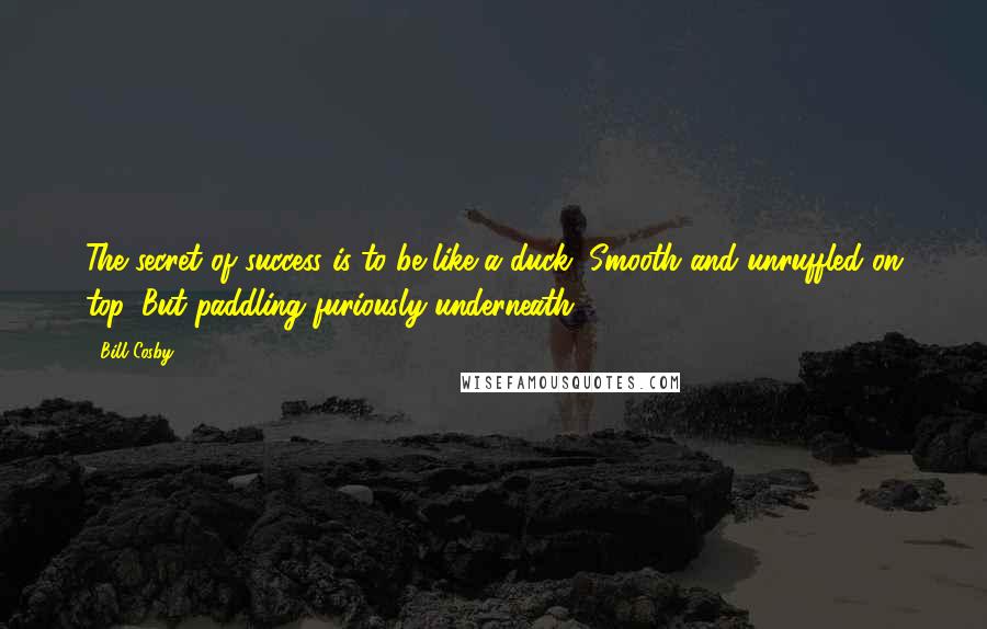 Bill Cosby Quotes: The secret of success is to be like a duck, Smooth and unruffled on top, But paddling furiously underneath.