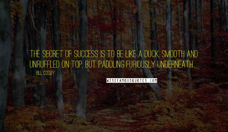 Bill Cosby Quotes: The secret of success is to be like a duck, Smooth and unruffled on top, But paddling furiously underneath.