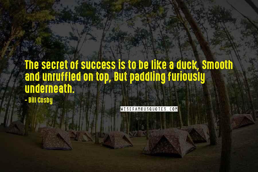 Bill Cosby Quotes: The secret of success is to be like a duck, Smooth and unruffled on top, But paddling furiously underneath.