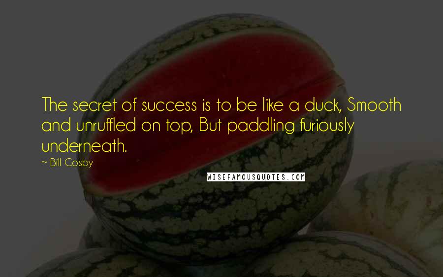 Bill Cosby Quotes: The secret of success is to be like a duck, Smooth and unruffled on top, But paddling furiously underneath.