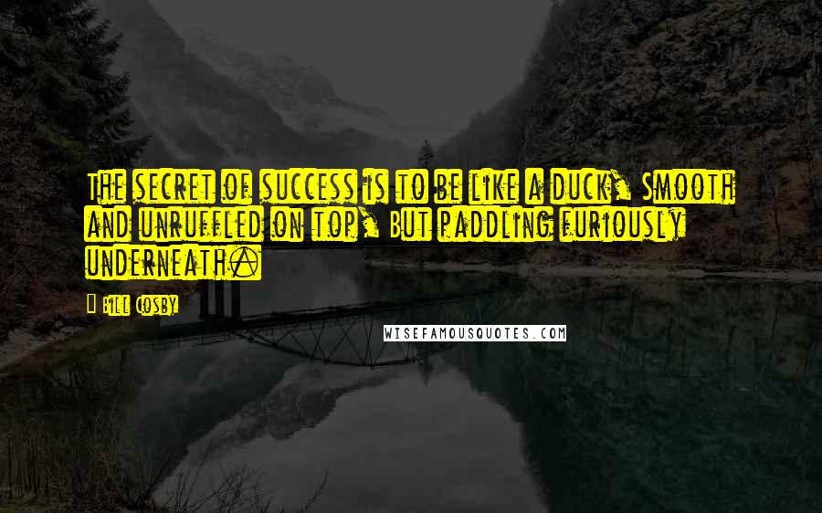 Bill Cosby Quotes: The secret of success is to be like a duck, Smooth and unruffled on top, But paddling furiously underneath.