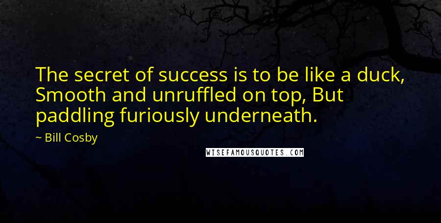 Bill Cosby Quotes: The secret of success is to be like a duck, Smooth and unruffled on top, But paddling furiously underneath.
