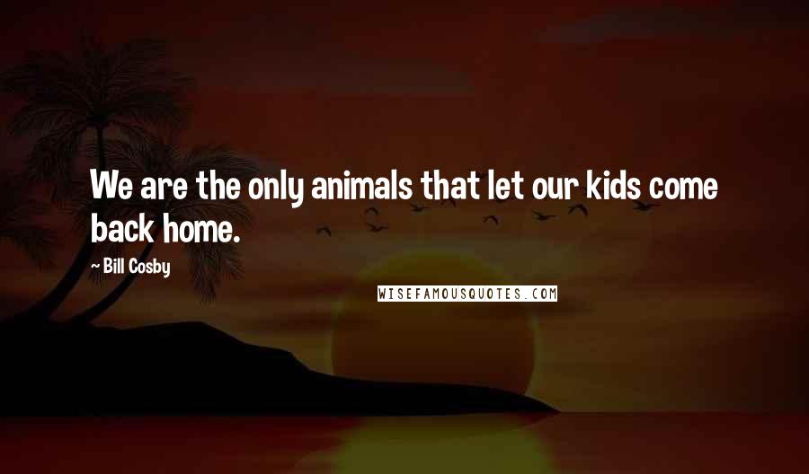 Bill Cosby Quotes: We are the only animals that let our kids come back home.