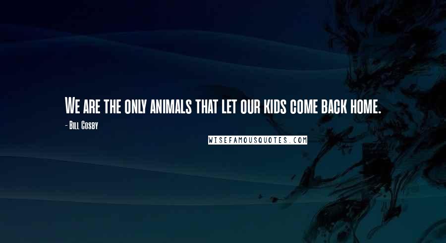 Bill Cosby Quotes: We are the only animals that let our kids come back home.