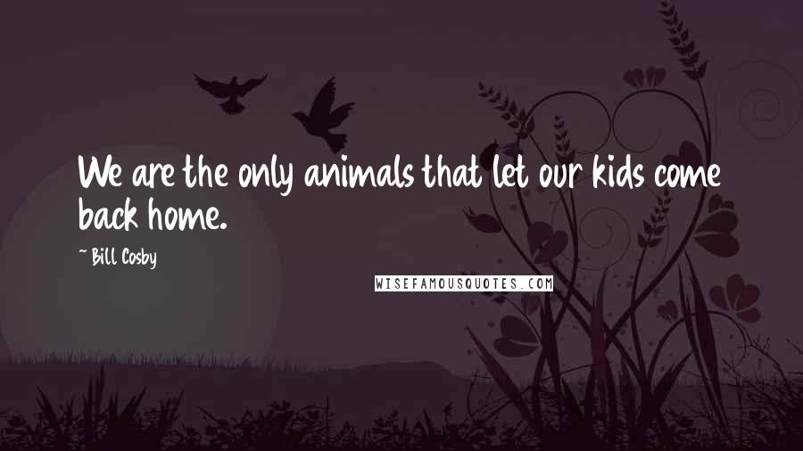 Bill Cosby Quotes: We are the only animals that let our kids come back home.