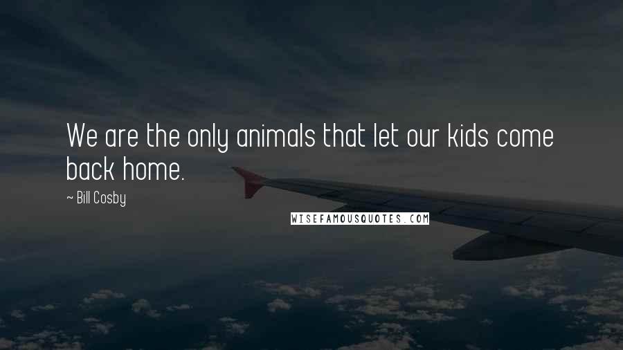 Bill Cosby Quotes: We are the only animals that let our kids come back home.