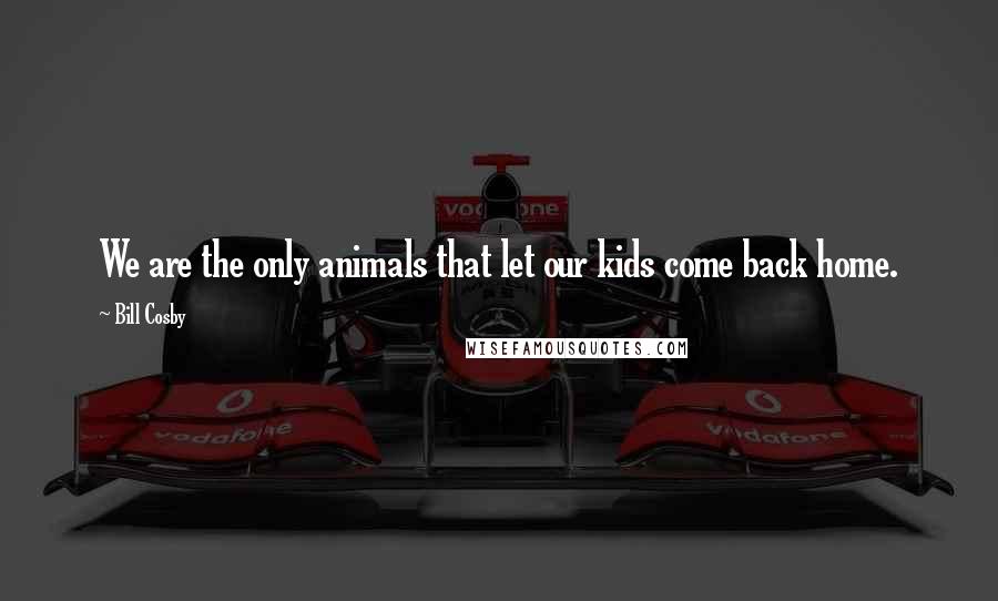 Bill Cosby Quotes: We are the only animals that let our kids come back home.