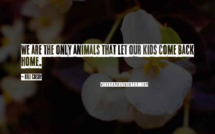 Bill Cosby Quotes: We are the only animals that let our kids come back home.