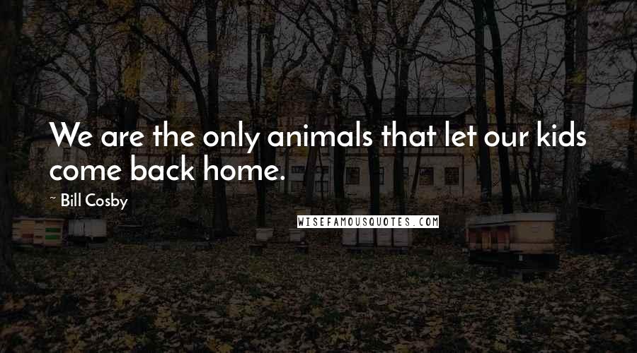 Bill Cosby Quotes: We are the only animals that let our kids come back home.