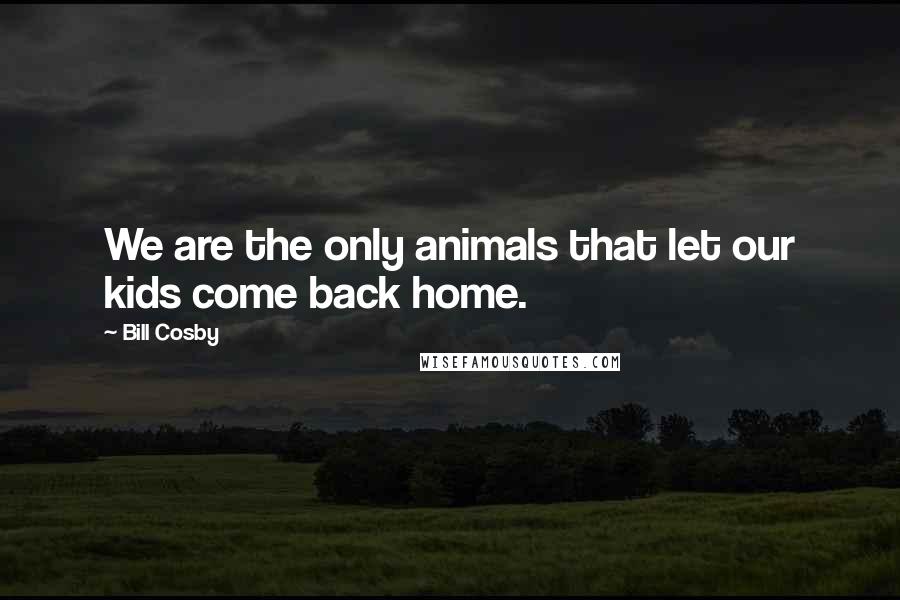 Bill Cosby Quotes: We are the only animals that let our kids come back home.