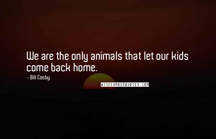 Bill Cosby Quotes: We are the only animals that let our kids come back home.