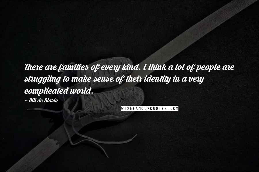Bill De Blasio Quotes: There are families of every kind. I think a lot of people are struggling to make sense of their identity in a very complicated world.