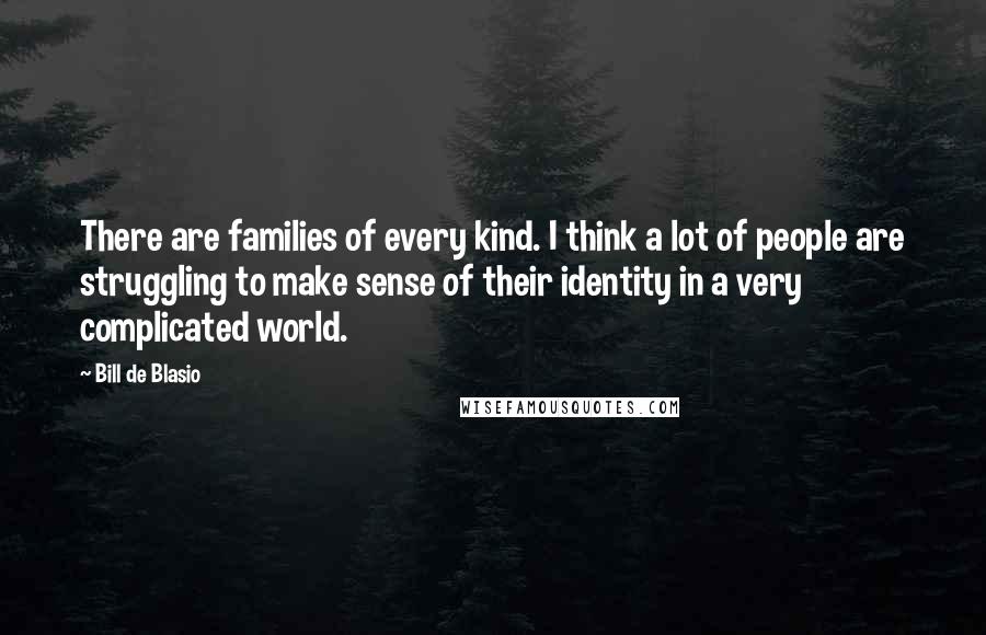 Bill De Blasio Quotes: There are families of every kind. I think a lot of people are struggling to make sense of their identity in a very complicated world.