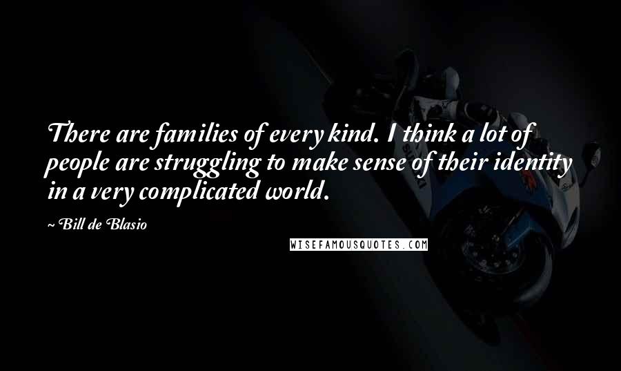 Bill De Blasio Quotes: There are families of every kind. I think a lot of people are struggling to make sense of their identity in a very complicated world.