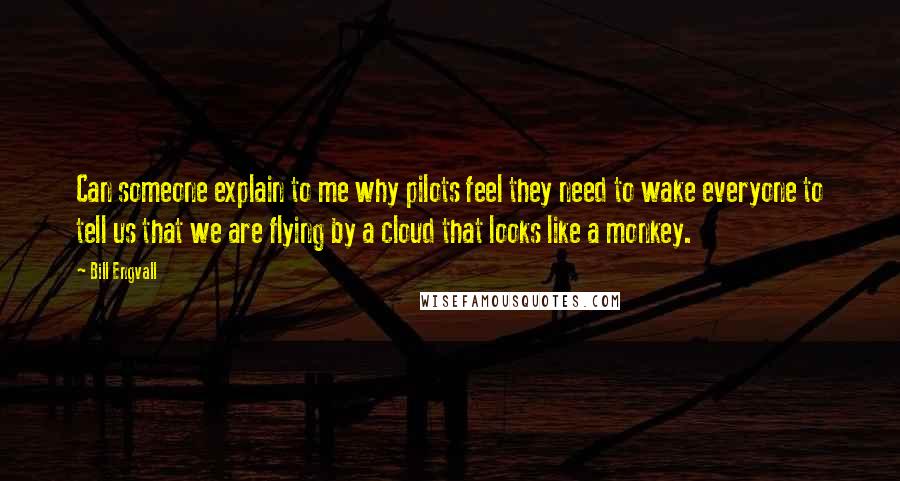 Bill Engvall Quotes: Can someone explain to me why pilots feel they need to wake everyone to tell us that we are flying by a cloud that looks like a monkey.