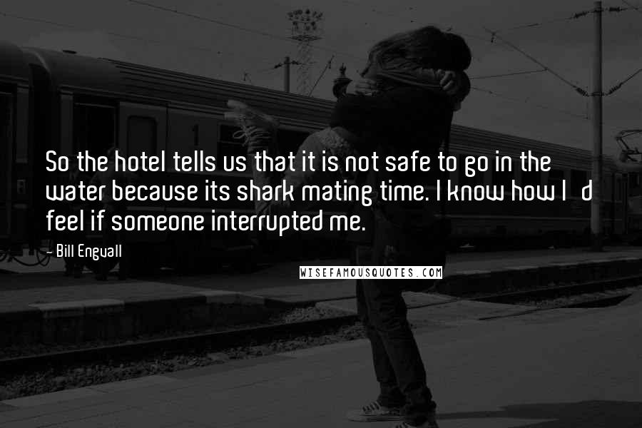 Bill Engvall Quotes: So the hotel tells us that it is not safe to go in the water because its shark mating time. I know how I'd feel if someone interrupted me.