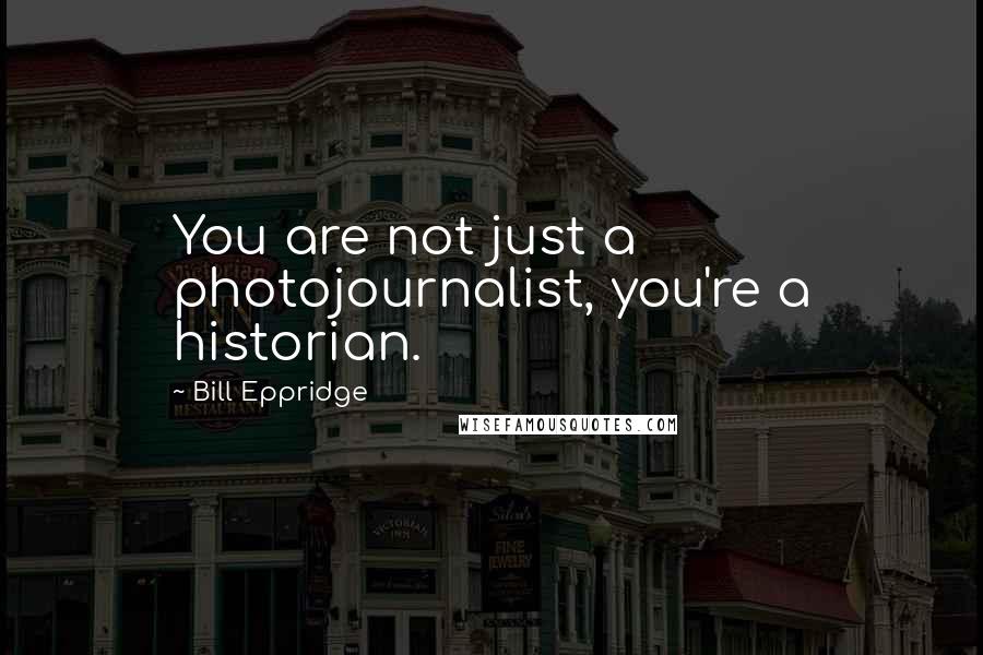 Bill Eppridge Quotes: You are not just a photojournalist, you're a historian.