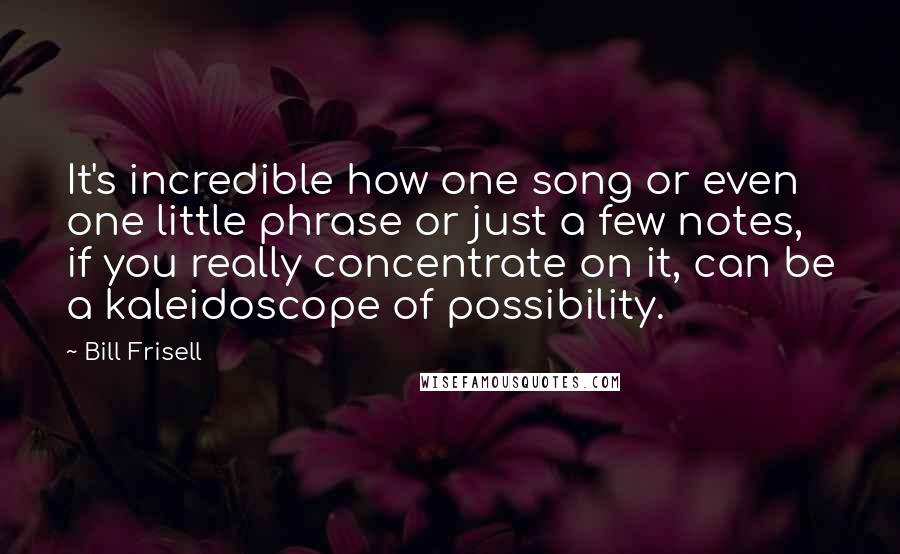 Bill Frisell Quotes: It's incredible how one song or even one little phrase or just a few notes, if you really concentrate on it, can be a kaleidoscope of possibility.