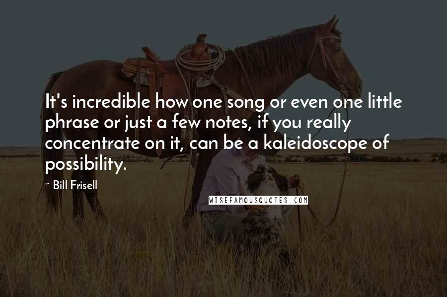 Bill Frisell Quotes: It's incredible how one song or even one little phrase or just a few notes, if you really concentrate on it, can be a kaleidoscope of possibility.