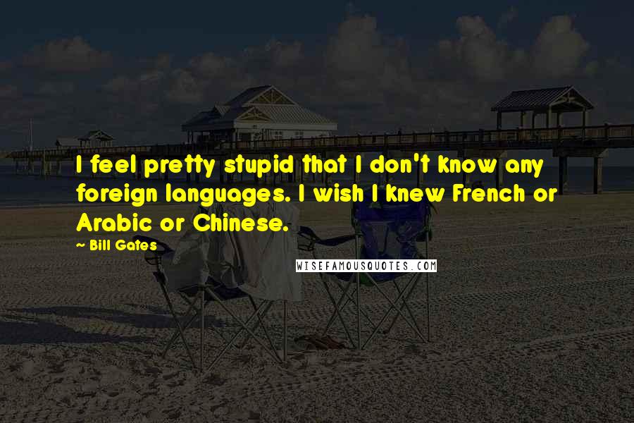 Bill Gates Quotes: I feel pretty stupid that I don't know any foreign languages. I wish I knew French or Arabic or Chinese.