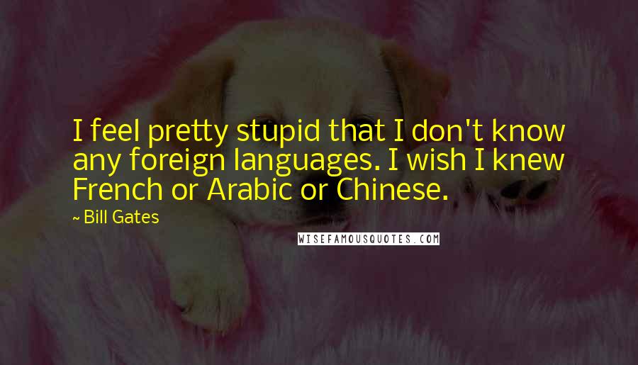 Bill Gates Quotes: I feel pretty stupid that I don't know any foreign languages. I wish I knew French or Arabic or Chinese.