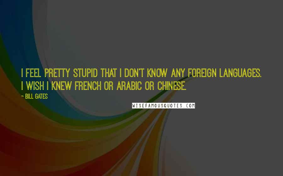 Bill Gates Quotes: I feel pretty stupid that I don't know any foreign languages. I wish I knew French or Arabic or Chinese.
