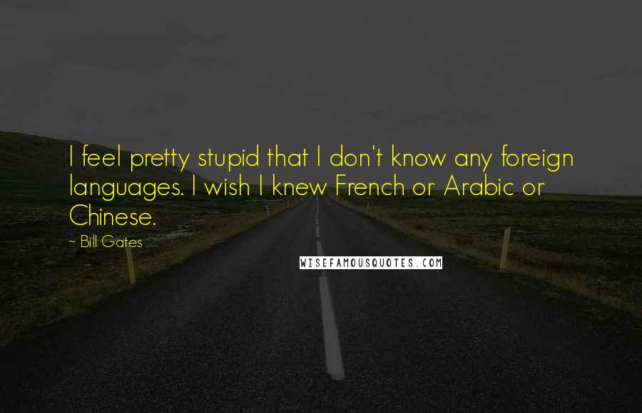 Bill Gates Quotes: I feel pretty stupid that I don't know any foreign languages. I wish I knew French or Arabic or Chinese.