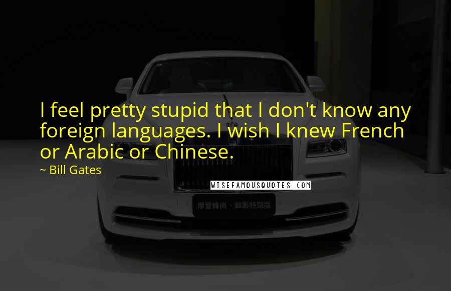 Bill Gates Quotes: I feel pretty stupid that I don't know any foreign languages. I wish I knew French or Arabic or Chinese.