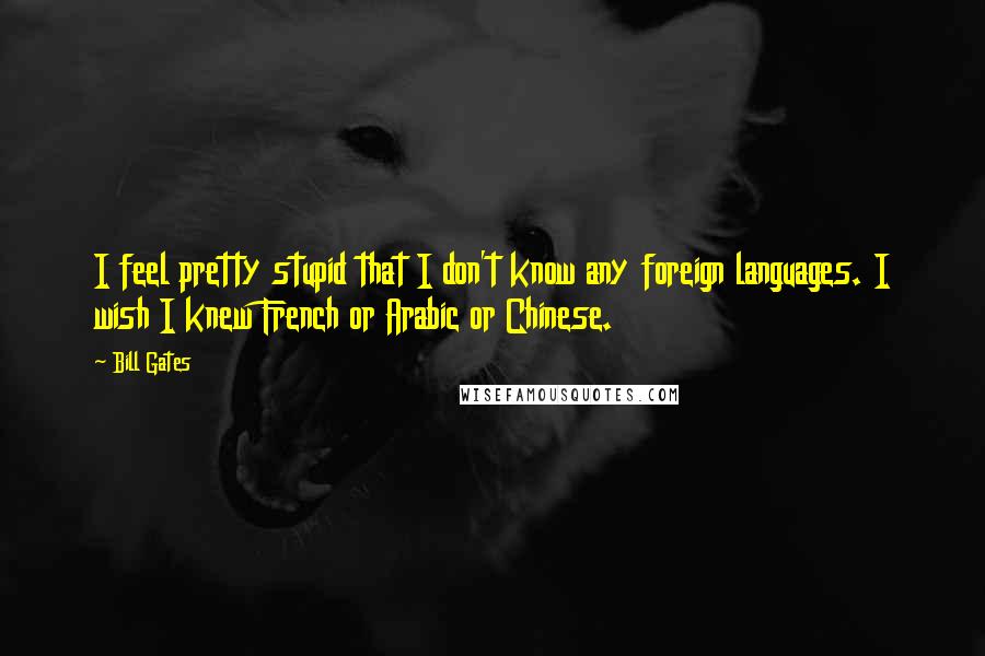 Bill Gates Quotes: I feel pretty stupid that I don't know any foreign languages. I wish I knew French or Arabic or Chinese.