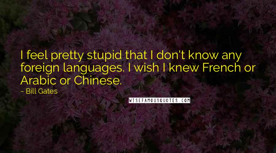 Bill Gates Quotes: I feel pretty stupid that I don't know any foreign languages. I wish I knew French or Arabic or Chinese.