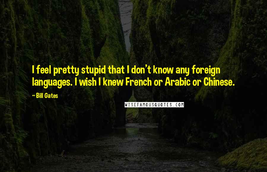 Bill Gates Quotes: I feel pretty stupid that I don't know any foreign languages. I wish I knew French or Arabic or Chinese.