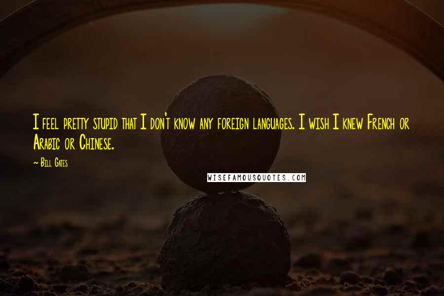 Bill Gates Quotes: I feel pretty stupid that I don't know any foreign languages. I wish I knew French or Arabic or Chinese.