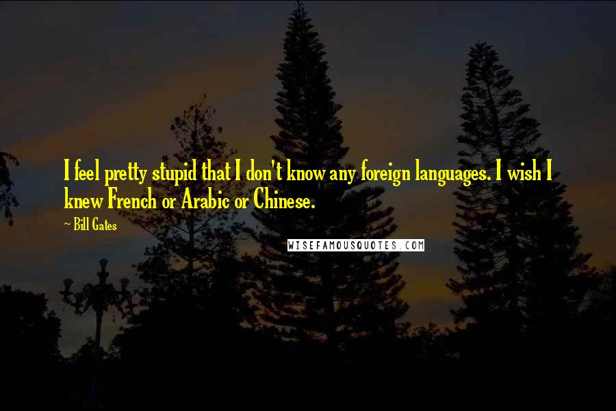 Bill Gates Quotes: I feel pretty stupid that I don't know any foreign languages. I wish I knew French or Arabic or Chinese.