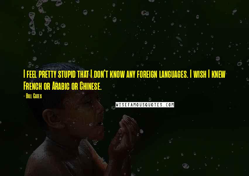 Bill Gates Quotes: I feel pretty stupid that I don't know any foreign languages. I wish I knew French or Arabic or Chinese.