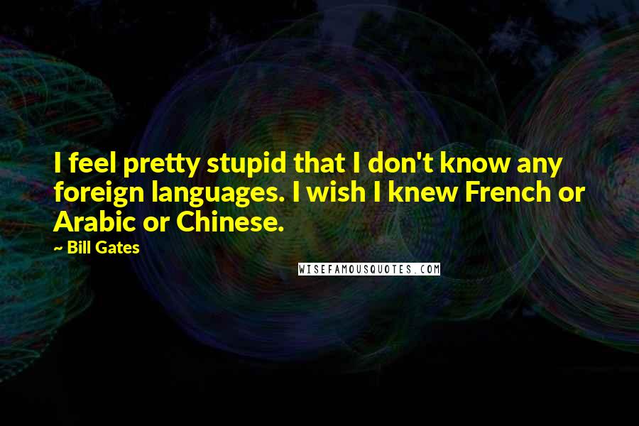 Bill Gates Quotes: I feel pretty stupid that I don't know any foreign languages. I wish I knew French or Arabic or Chinese.