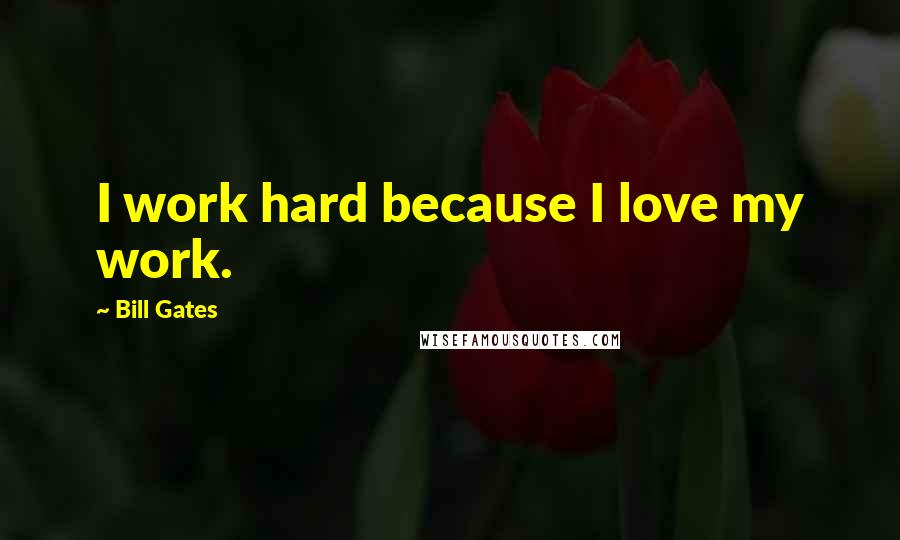 Bill Gates Quotes: I work hard because I love my work.