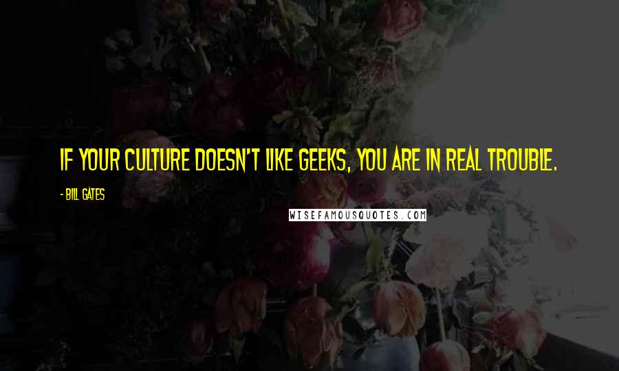 Bill Gates Quotes: If your culture doesn't like geeks, you are in real trouble.