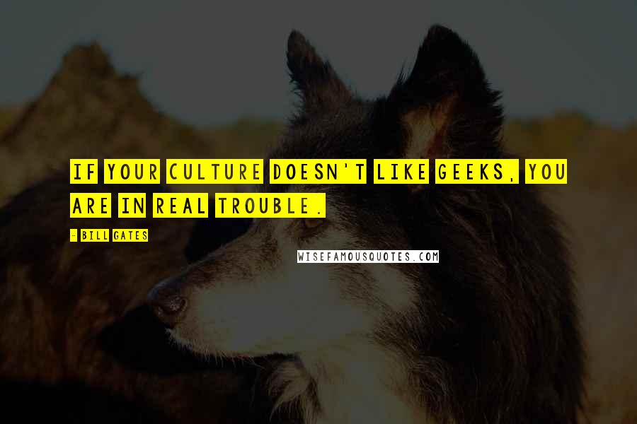 Bill Gates Quotes: If your culture doesn't like geeks, you are in real trouble.