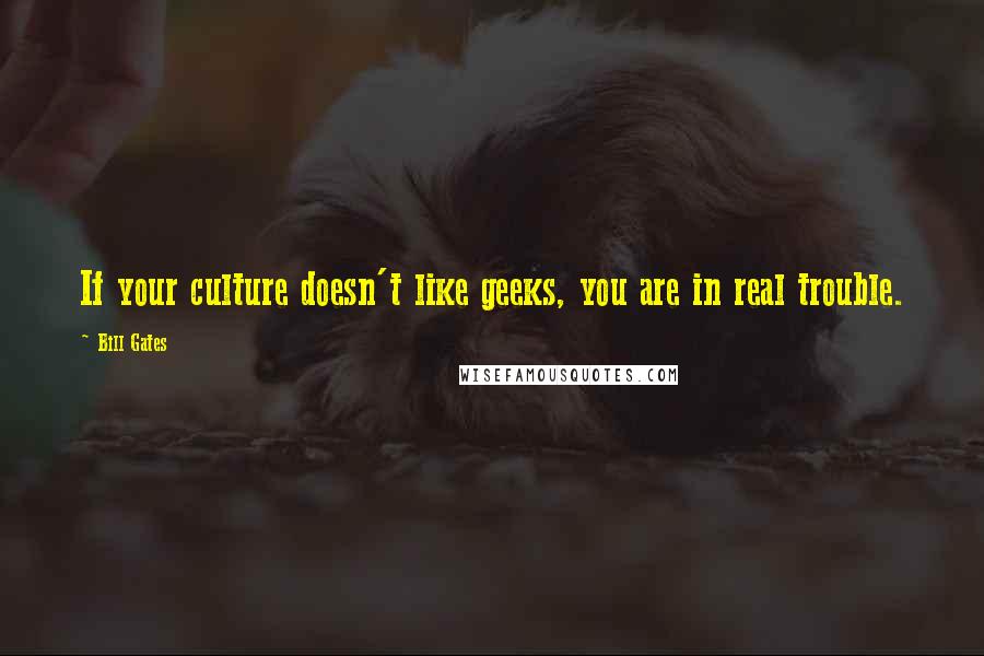 Bill Gates Quotes: If your culture doesn't like geeks, you are in real trouble.