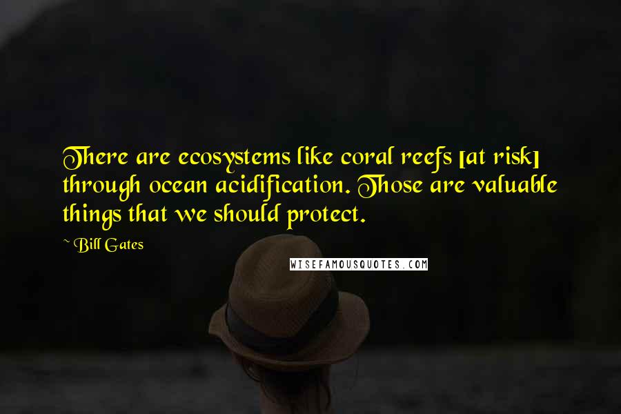 Bill Gates Quotes: There are ecosystems like coral reefs [at risk] through ocean acidification. Those are valuable things that we should protect.