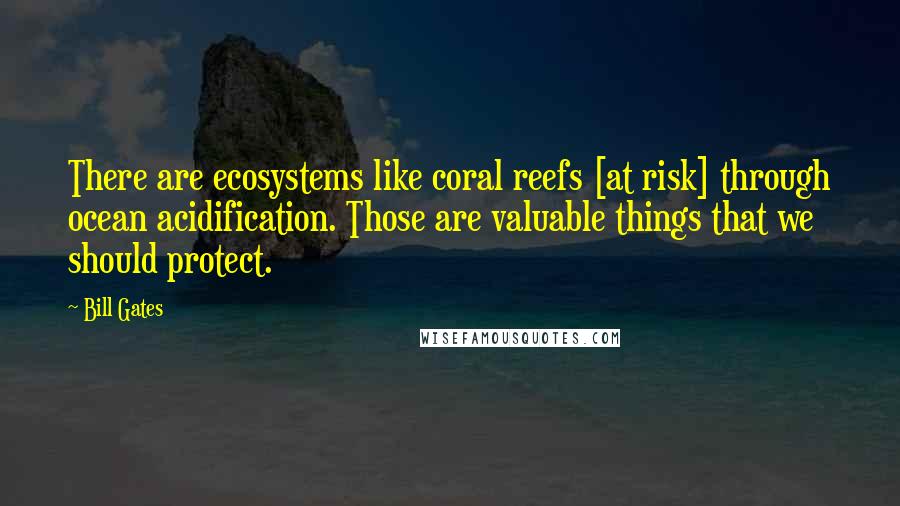 Bill Gates Quotes: There are ecosystems like coral reefs [at risk] through ocean acidification. Those are valuable things that we should protect.