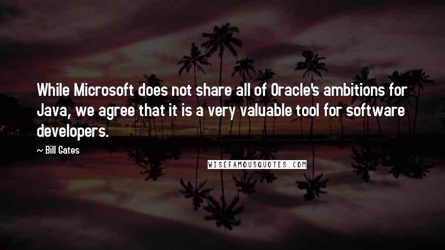 Bill Gates Quotes: While Microsoft does not share all of Oracle's ambitions for Java, we agree that it is a very valuable tool for software developers.